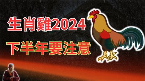 1993屬雞2024運勢|1993年屬雞人2024年全年運勢詳解 31歲生肖雞2024年每月運勢